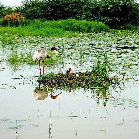 Ibishouse Farm Stay Bharatpur Exterior photo