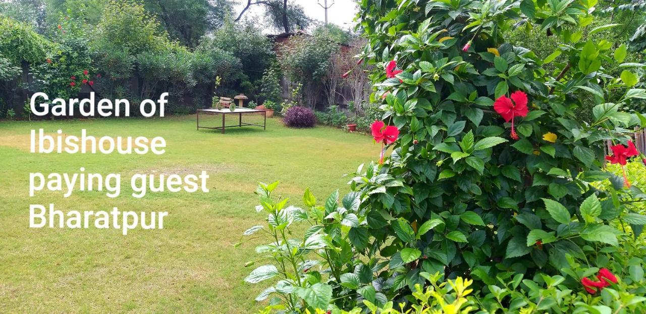 Ibishouse Farm Stay Bharatpur Exterior photo