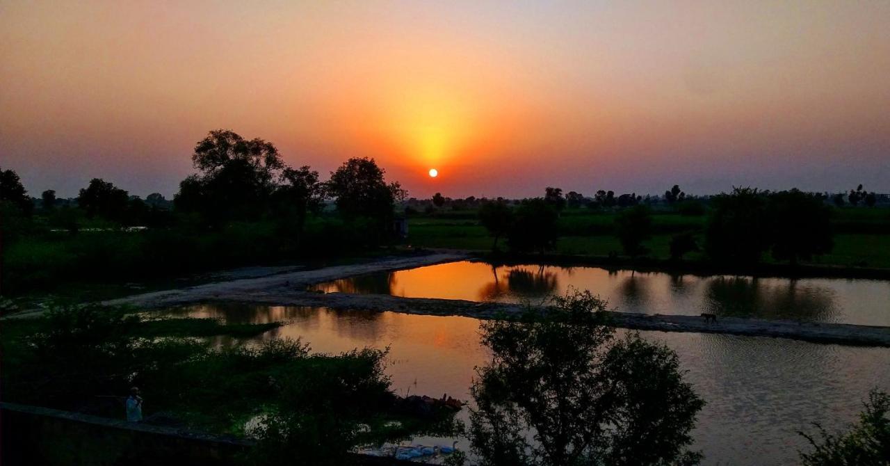 Ibishouse Farm Stay Bharatpur Exterior photo