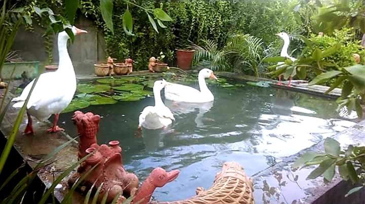 Ibishouse Farm Stay Bharatpur Exterior photo