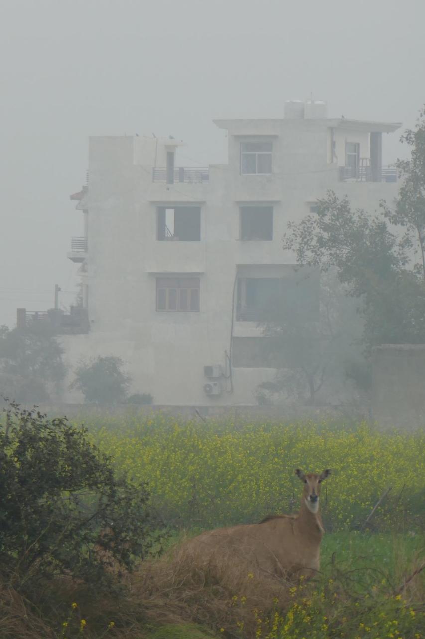 Ibishouse Farm Stay Bharatpur Exterior photo
